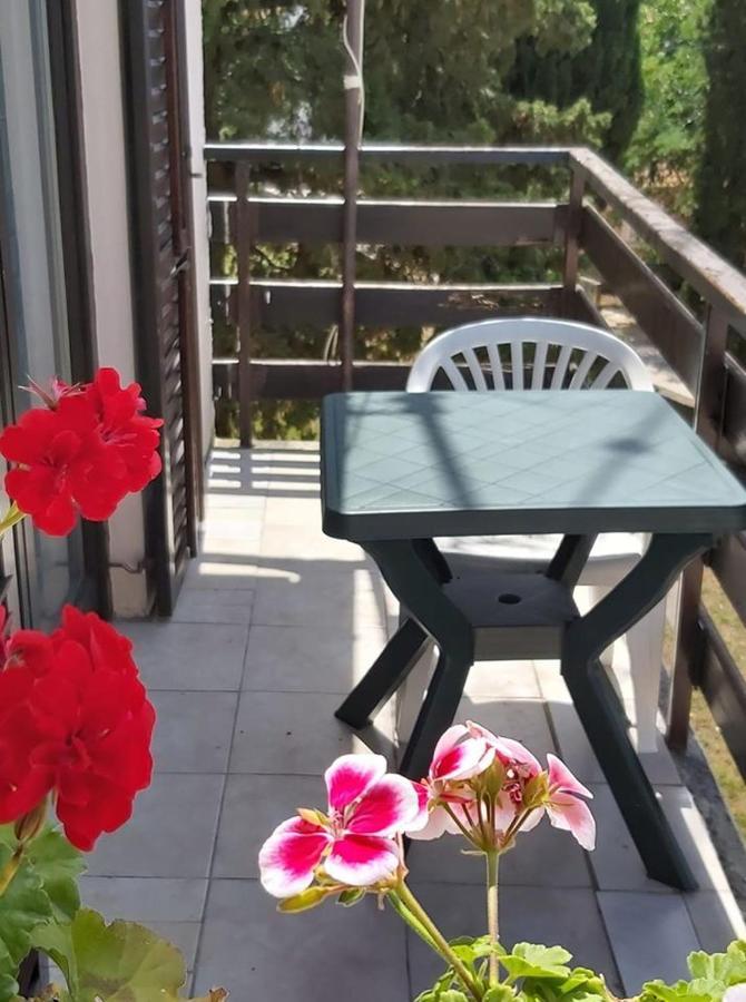 Apartmani Svitlana Sukošan Exteriör bild